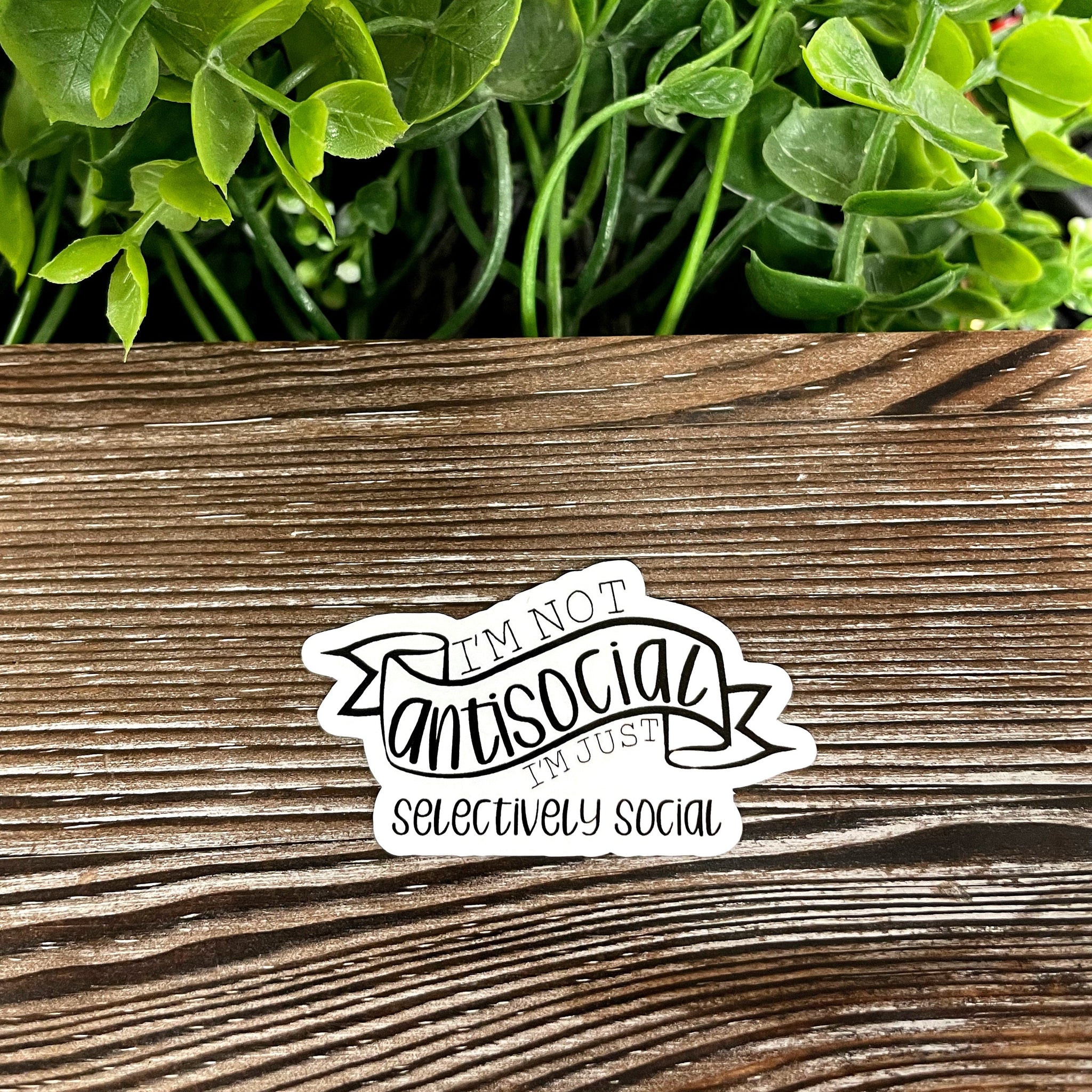 I'm Not Antisocial I'm Just Selectively Social, Die Cut Vinyl Sticker,