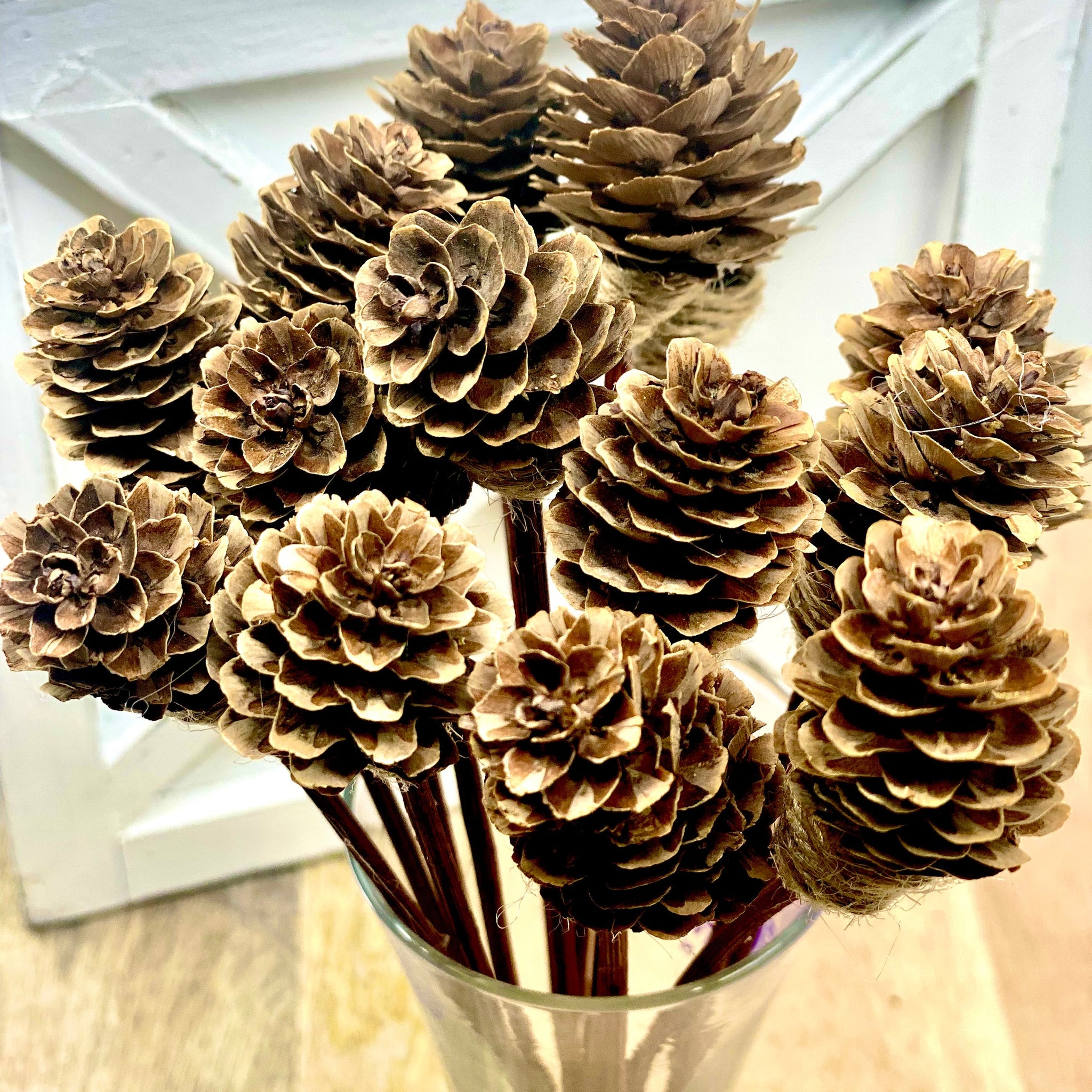 Mini Pine Cone, 9” Rattan Wood Reed Diffusers Replacement Sticks, 16