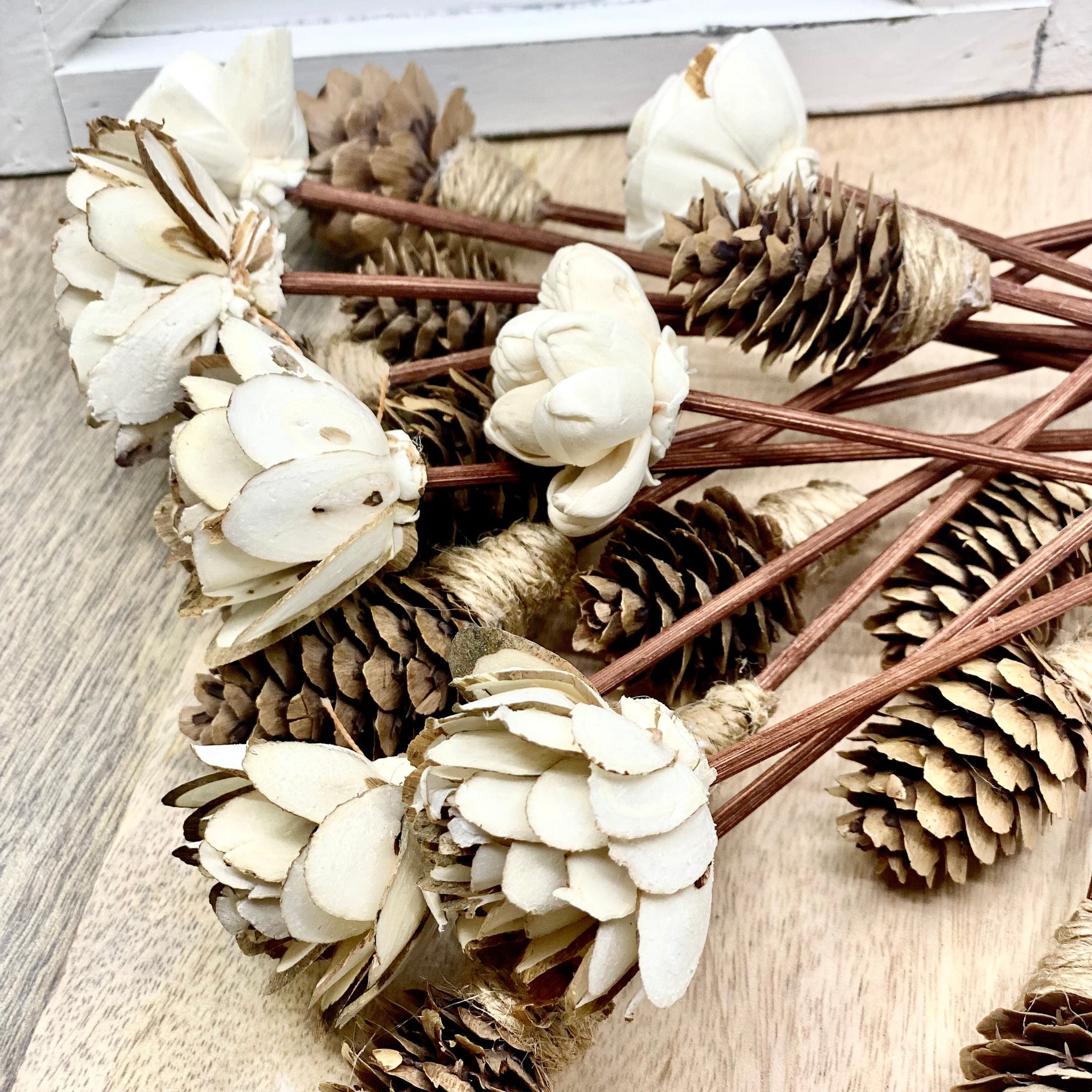 Assorted Mini Sola Wood Flower, 9” Rattan Wood Reed Diffuser